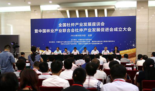 全國(guó)杜仲產(chǎn)業(yè)發(fā)展座談會(huì)暨中國(guó)林業(yè)產(chǎn)業(yè)聯(lián)合會(huì)杜仲產(chǎn)業(yè)發(fā)展促進(jìn)會(huì)成立大會(huì)京召開